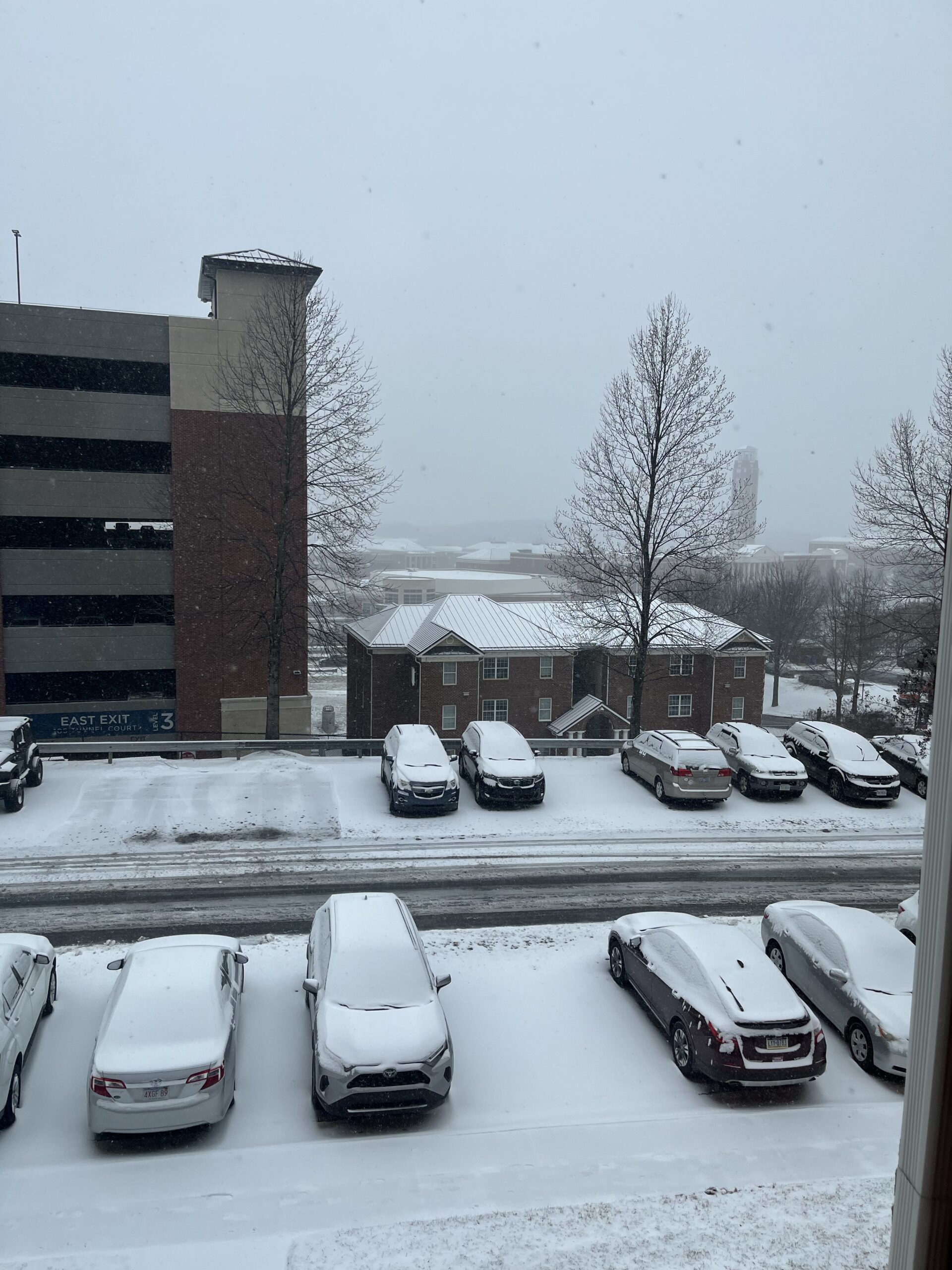 cars covered in snow